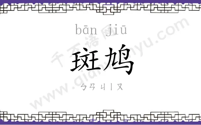 斑鸠