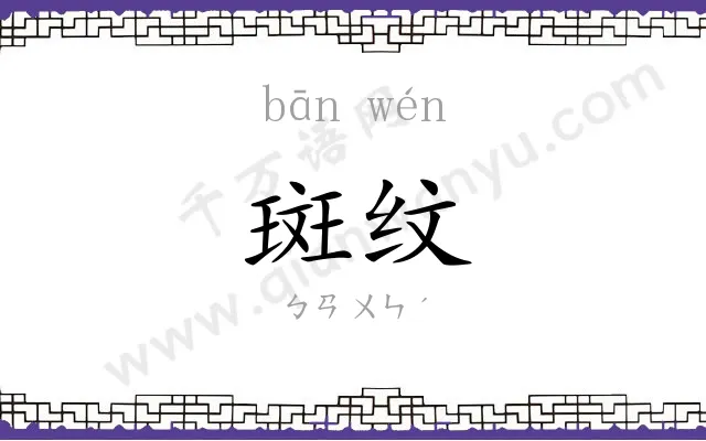 斑纹