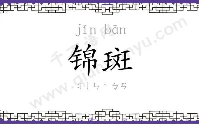 锦斑