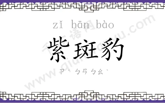 紫斑豹