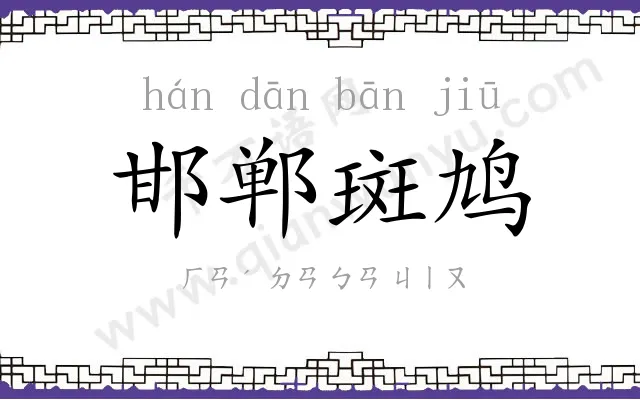 邯郸斑鸠