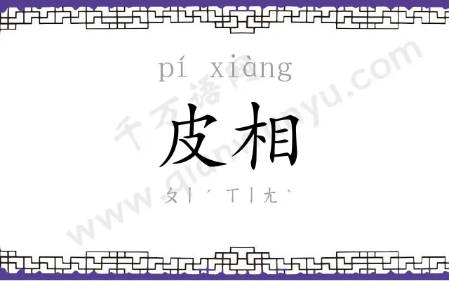 皮相