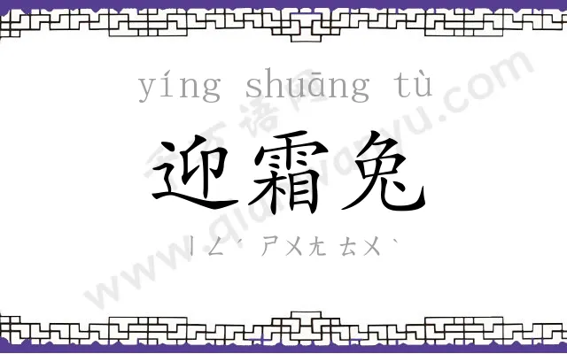 迎霜兔