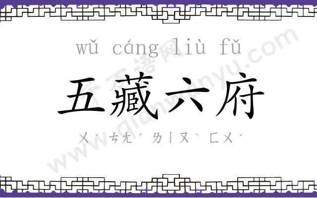 五藏六府
