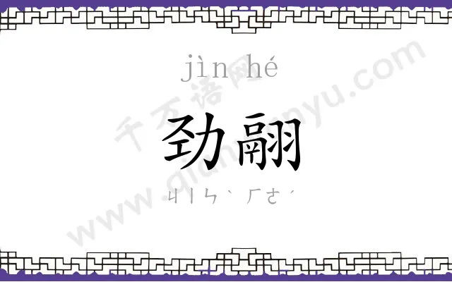 劲翮