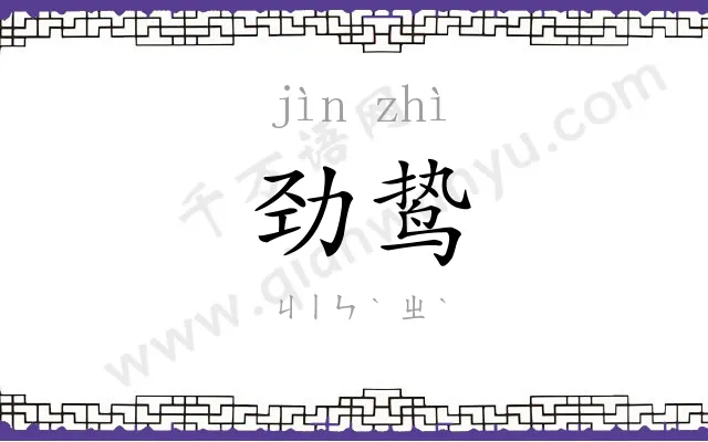 劲鸷
