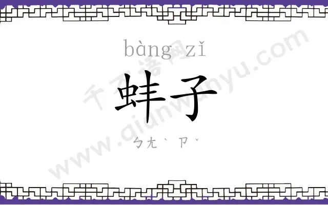 蚌子