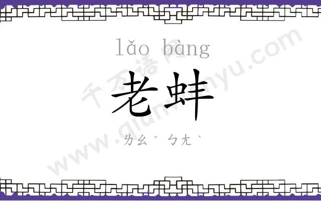老蚌