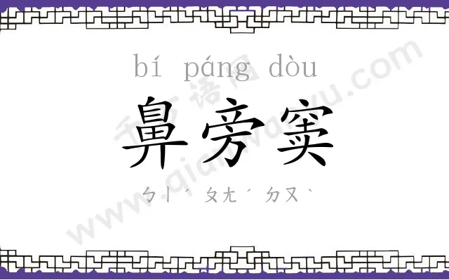 鼻旁窦