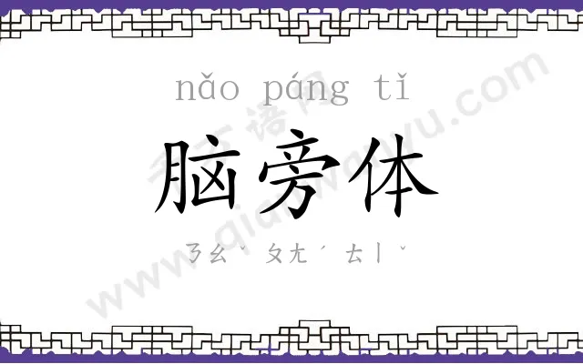 脑旁体