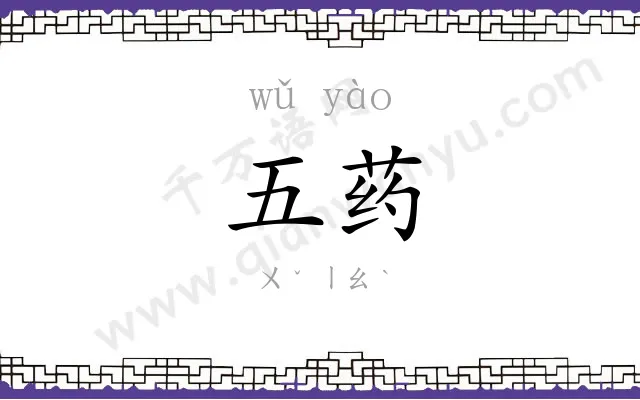 五药