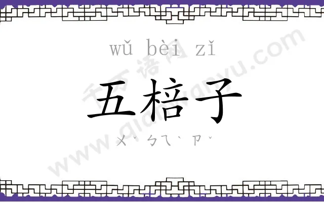 五棓子