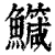 鱵(清·印刷字体·康熙字典)