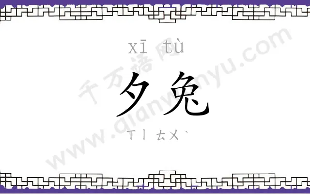 夕兔