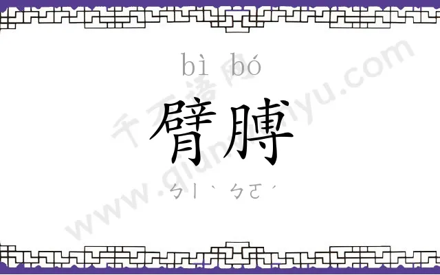 臂膊