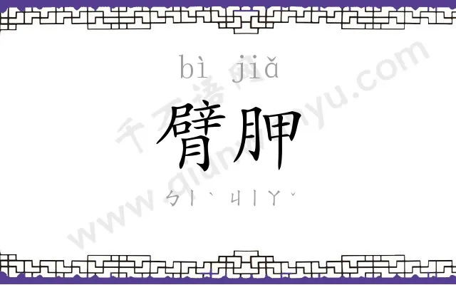 臂胛