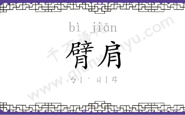 臂肩