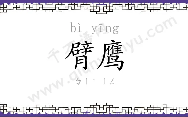 臂鹰