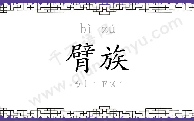 臂族