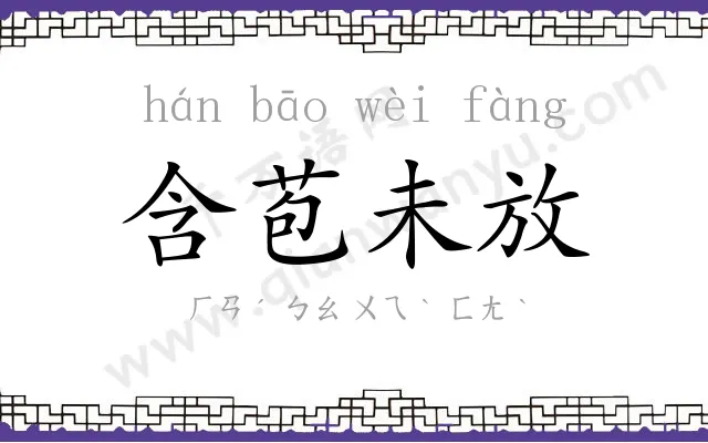 含苞未放