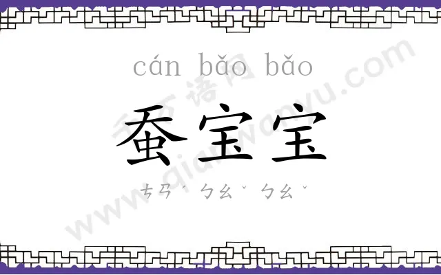 蚕宝宝