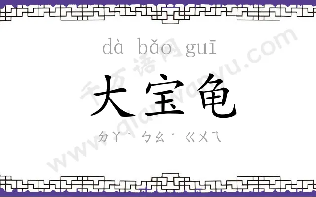 大宝龟