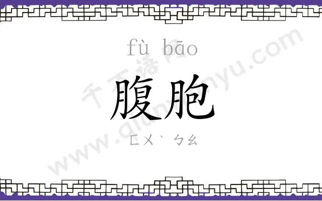 腹胞