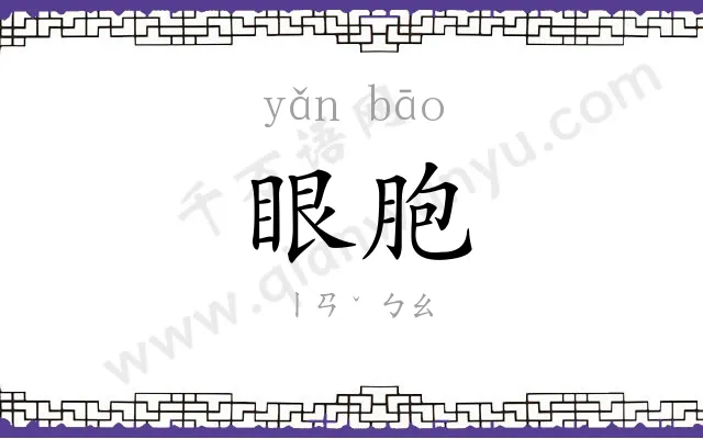 眼胞