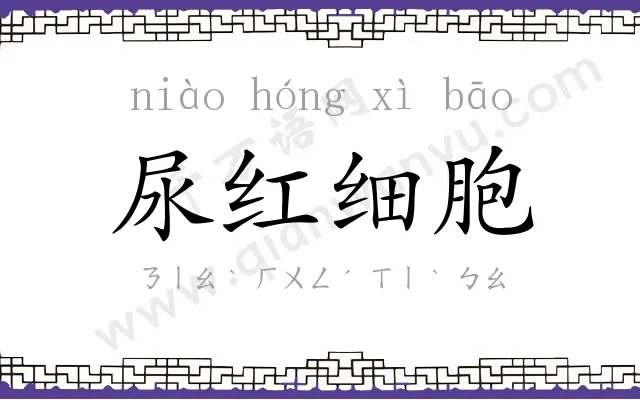 尿红细胞