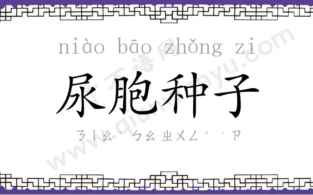 尿胞种子