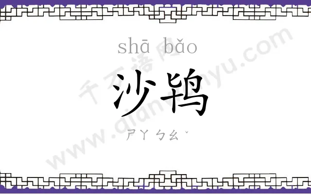 沙鸨