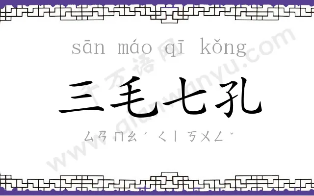 三毛七孔