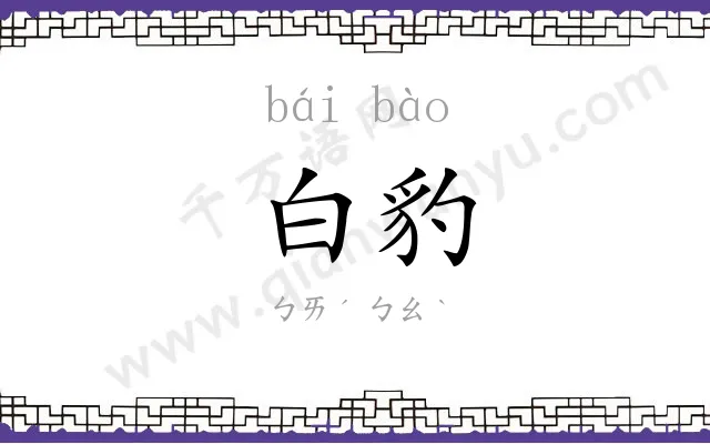 白豹