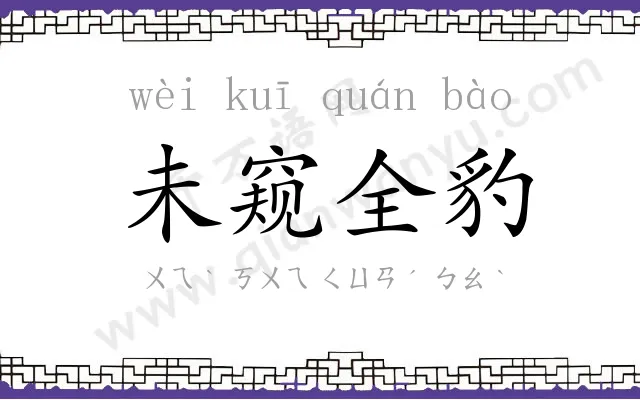 未窥全豹
