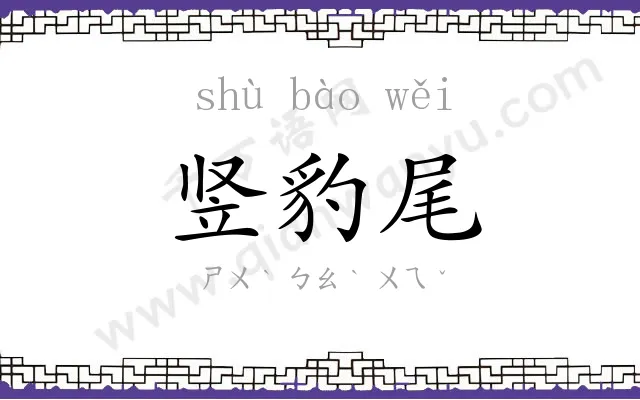 竖豹尾