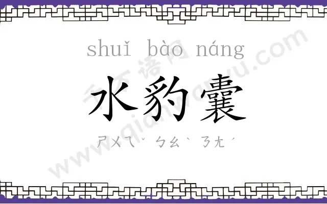 水豹囊