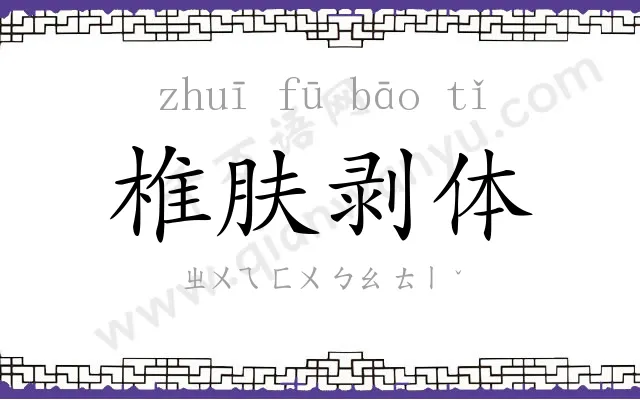 椎肤剥体