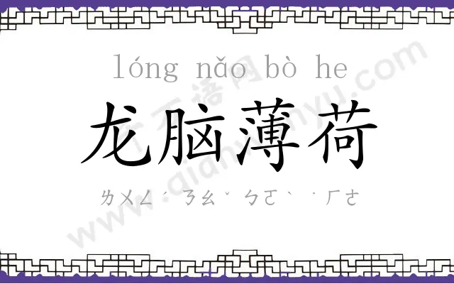 龙脑薄荷