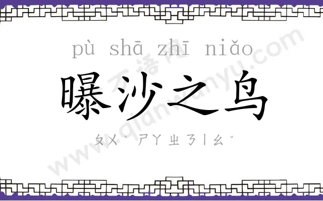 曝沙之鸟