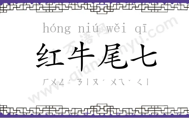 红牛尾七