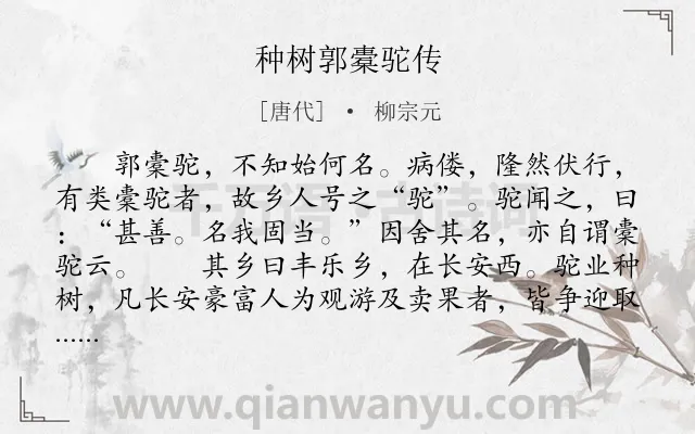 《种树郭橐驼传》作者是唐代的柳宗元.本诗词属于高三;高一;古文观止;高中文言文;叙事;写人;传记类诗词.诗词全文约共591字.