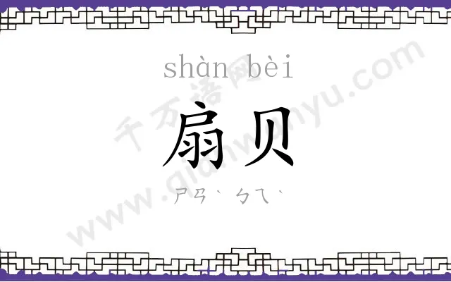 扇贝