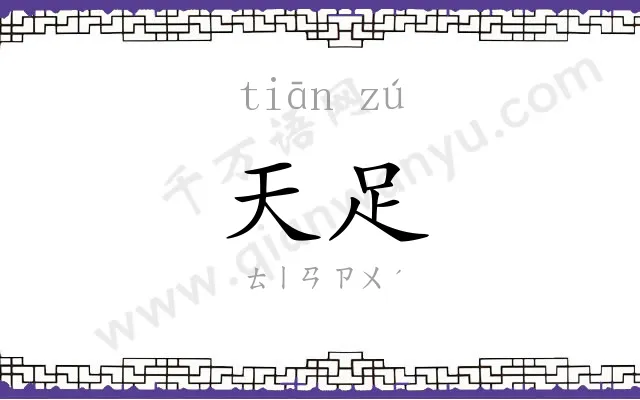 天足