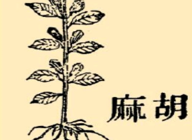 1667800353138779.png image.png