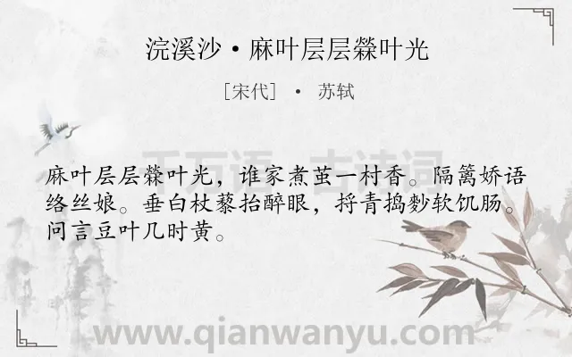 《浣溪沙·麻叶层层檾叶光》作者是宋代的苏轼.本诗词属于初夏;农村;生活;风俗类诗词.诗词全文约共48字.