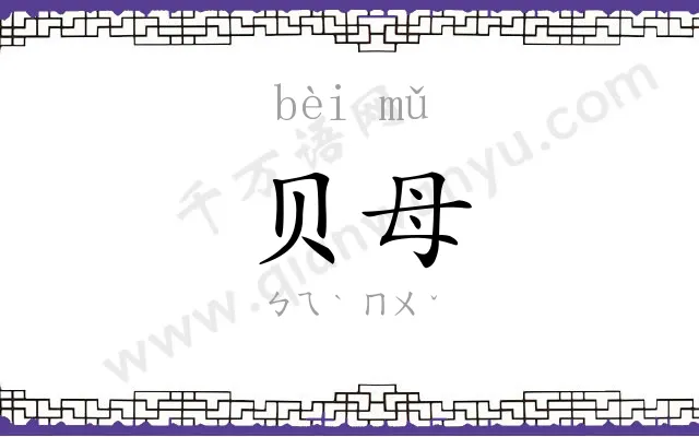 贝母