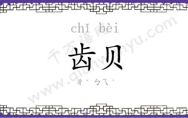 齿贝