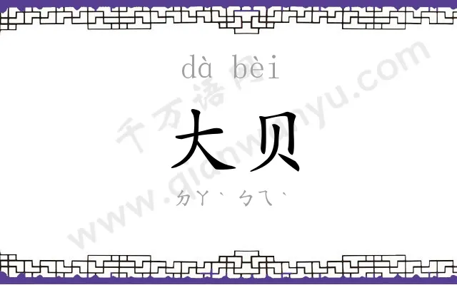 大贝