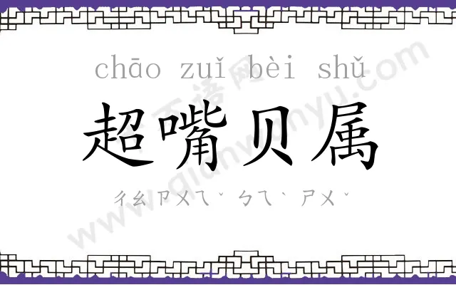 超嘴贝属