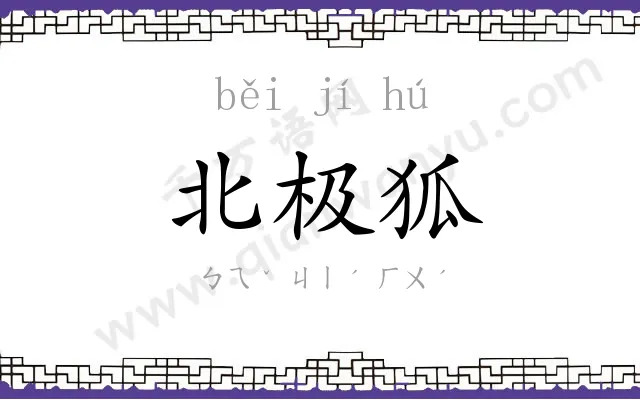 北极狐